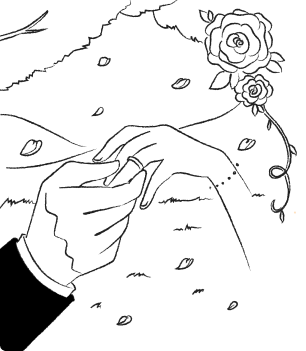 Venues for wedding venue